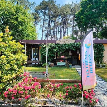 Village Vacances Les Chenes De Léon Dış mekan fotoğraf